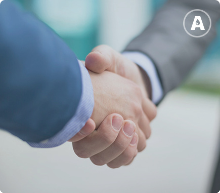 Partnership model